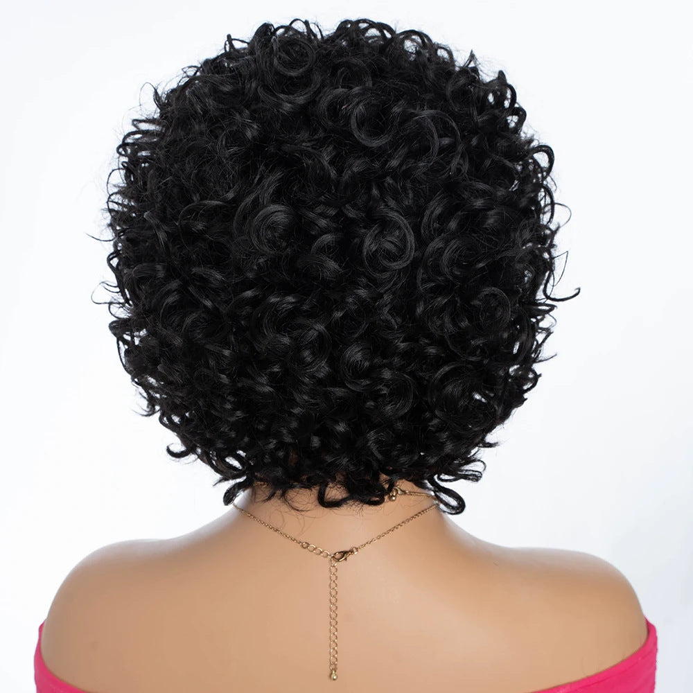Popular With Bangs Black African Small Wig Short Curly Hair