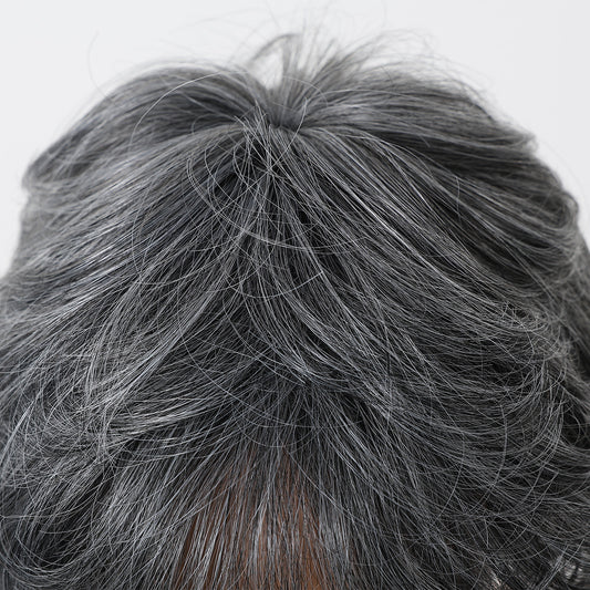 Stylish Sier Gray Grandma Chemical Fiber Wig Short Straight Hair