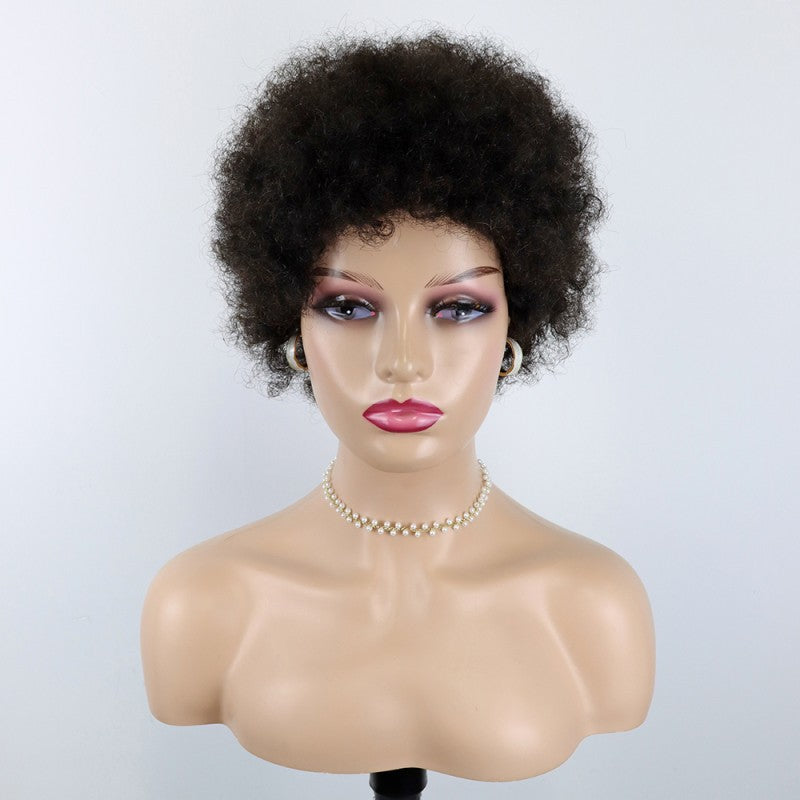 Classic Human Afro Original High Quality Wig Short Curly Hair