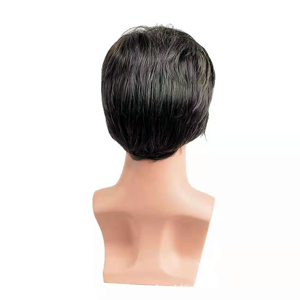 Attractive Pretty Men's Fiber Small Volume Wig Short Curly Hair