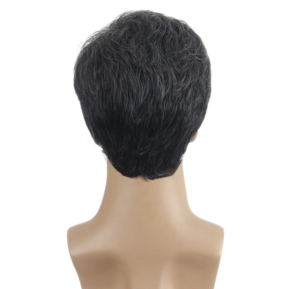 Men's Synthetic Wigs Fashion Short Hair Men's Wig