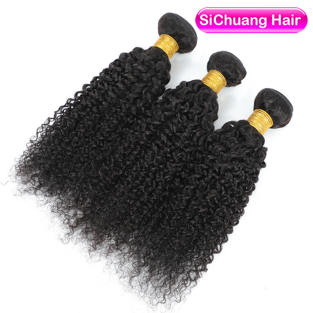 Human Wigs Hair Weft African Fashion Wig Long Curls