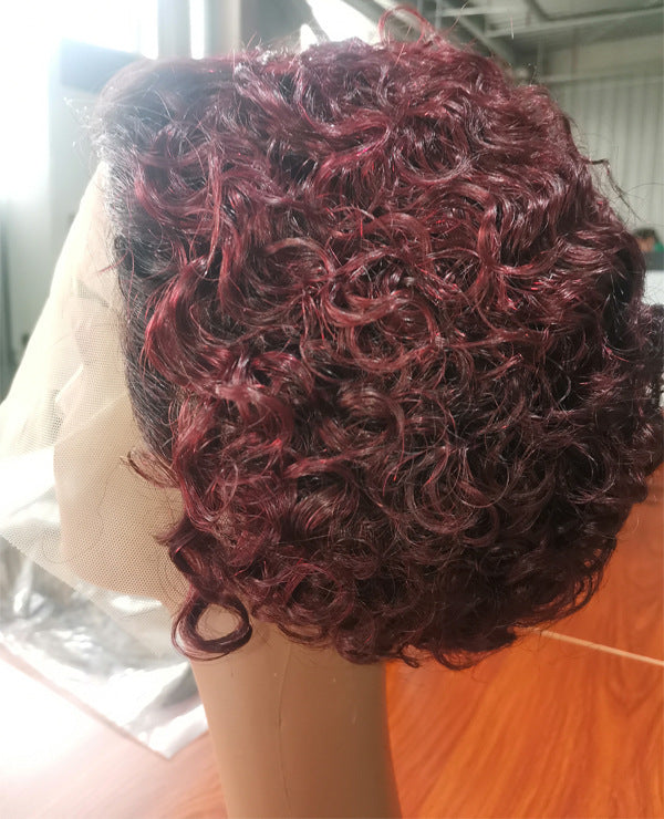 Pixie Cut Lace Wigs Human Shor Wig Short Curly Hair